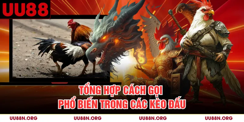 Tổng hợp cách gọi phổ biến trong các kèo đấu